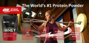 ON Gold Standard Whey Protein 1lbs