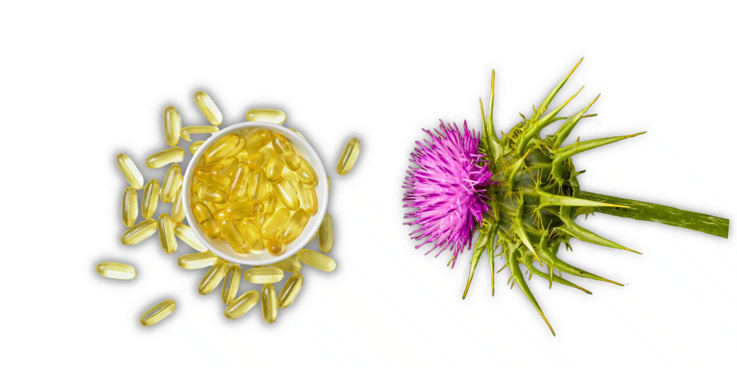 Silymarin Tablet Supplements in Nepal