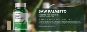 saw palmetto description image