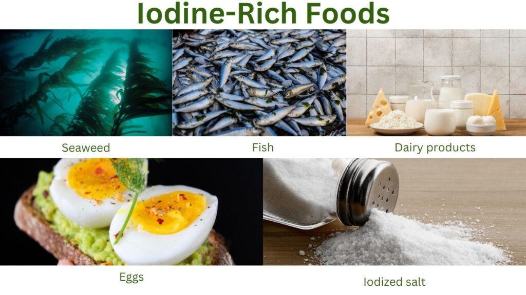 Iodine-rich foods