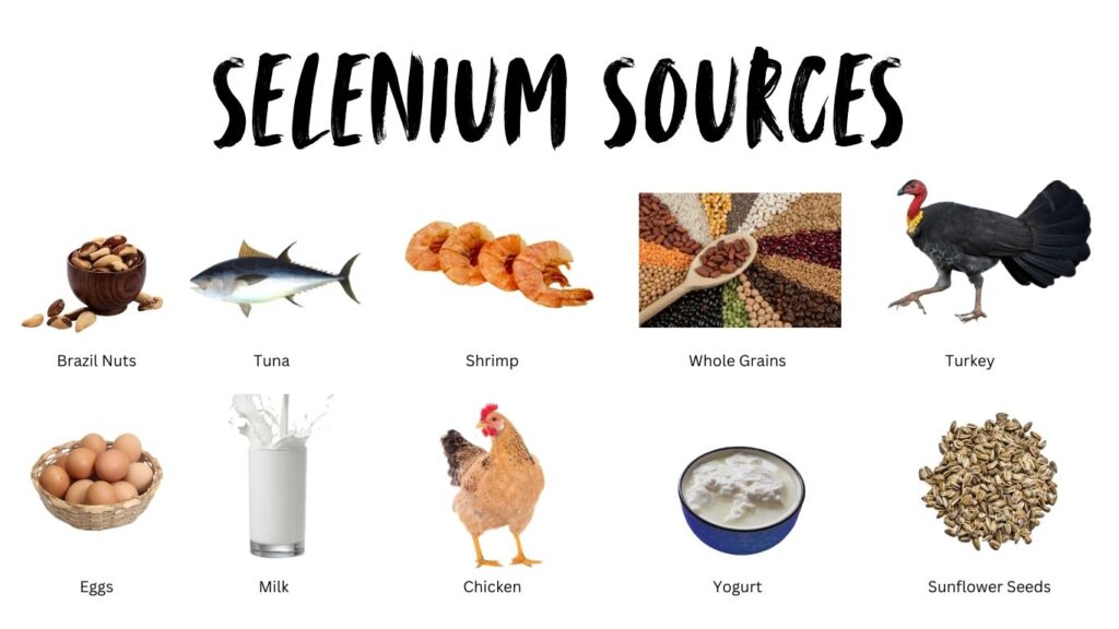 Selenium Sources